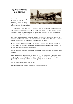 A preview of a PDF biography for McCabe, Andrew